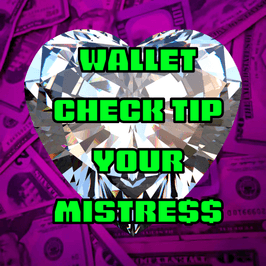 Tip your Mistress Findom Wallet Check