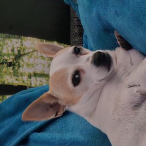 Help me pay surgery costs