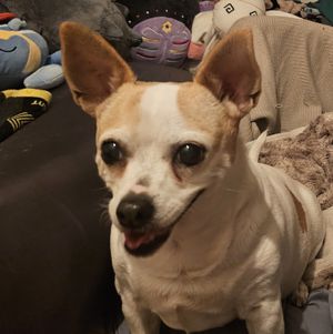 Help with surgery cost