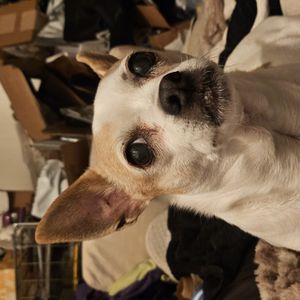 Help with surgery cost