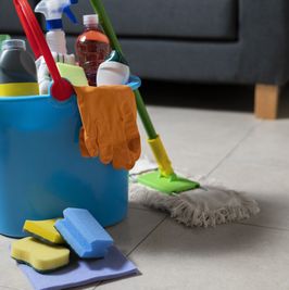 Sponsor My House Cleaning