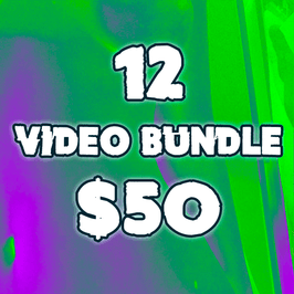 12 Videos Bundle