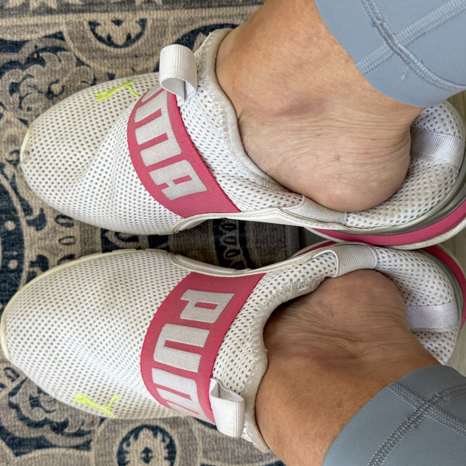 Broke Back Puma