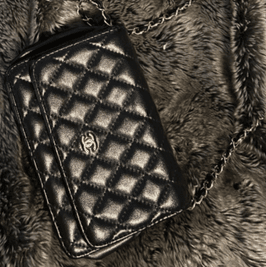 Chanel Purse