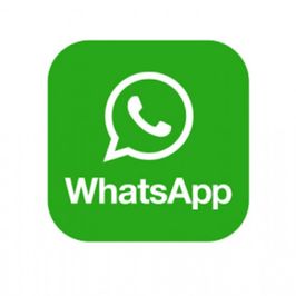 WhatsApp number 1 month