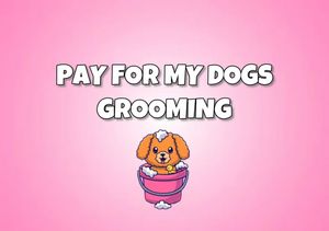 Cover My s Grooming