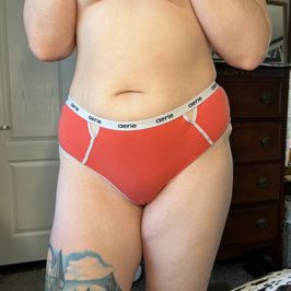 Aerie full coverage panty