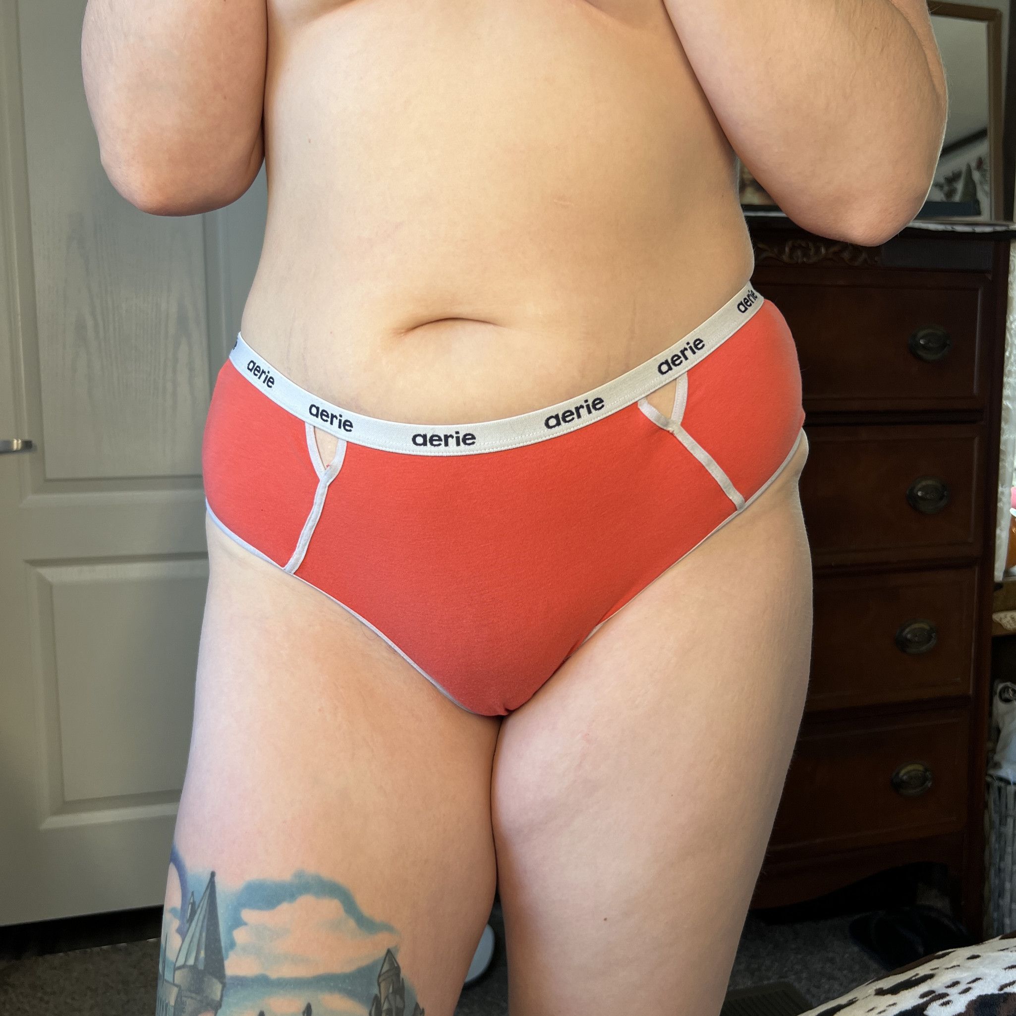 Aerie full coverage panty