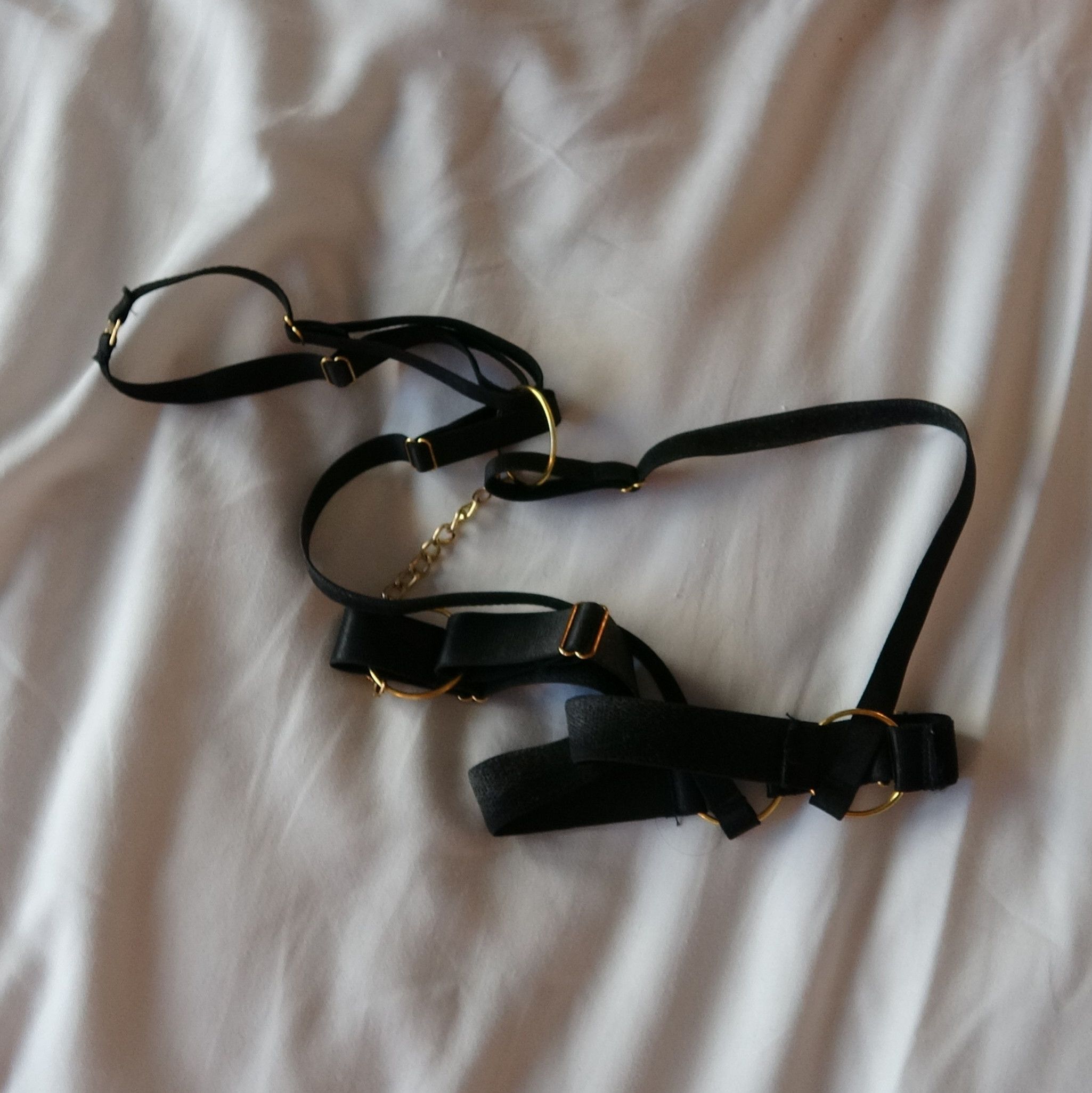 Leather Black Body Bra Harness that Alexa Chains wore