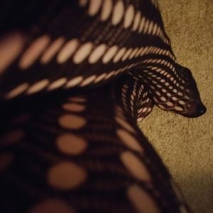 WELL WORN  Thigh Highs