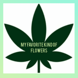 SPOIL ME my favorite flowers