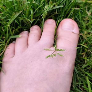 Natural Barefoot Outdoor Photo Set