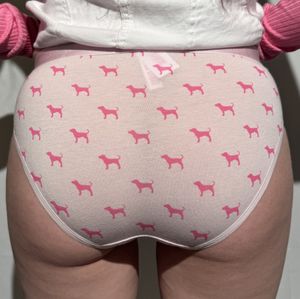 VS Pink y2k style hiphugger panties 24hr wear