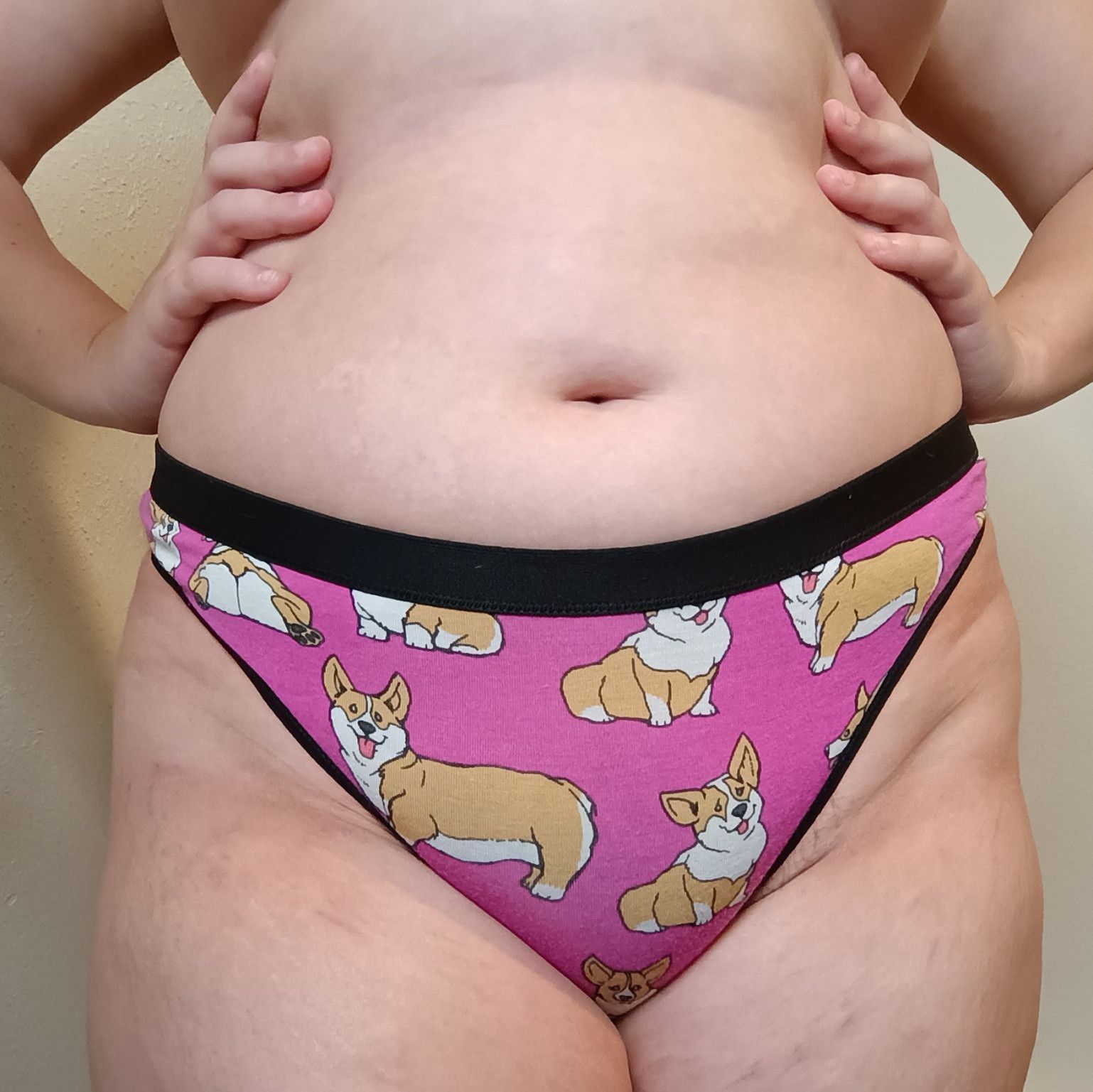 MeUndies Corgi Thong