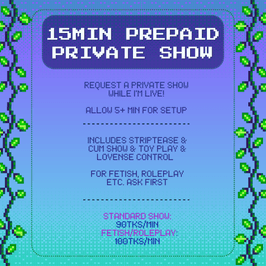 15 Minute Private Show