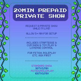 20 Minute Private Show
