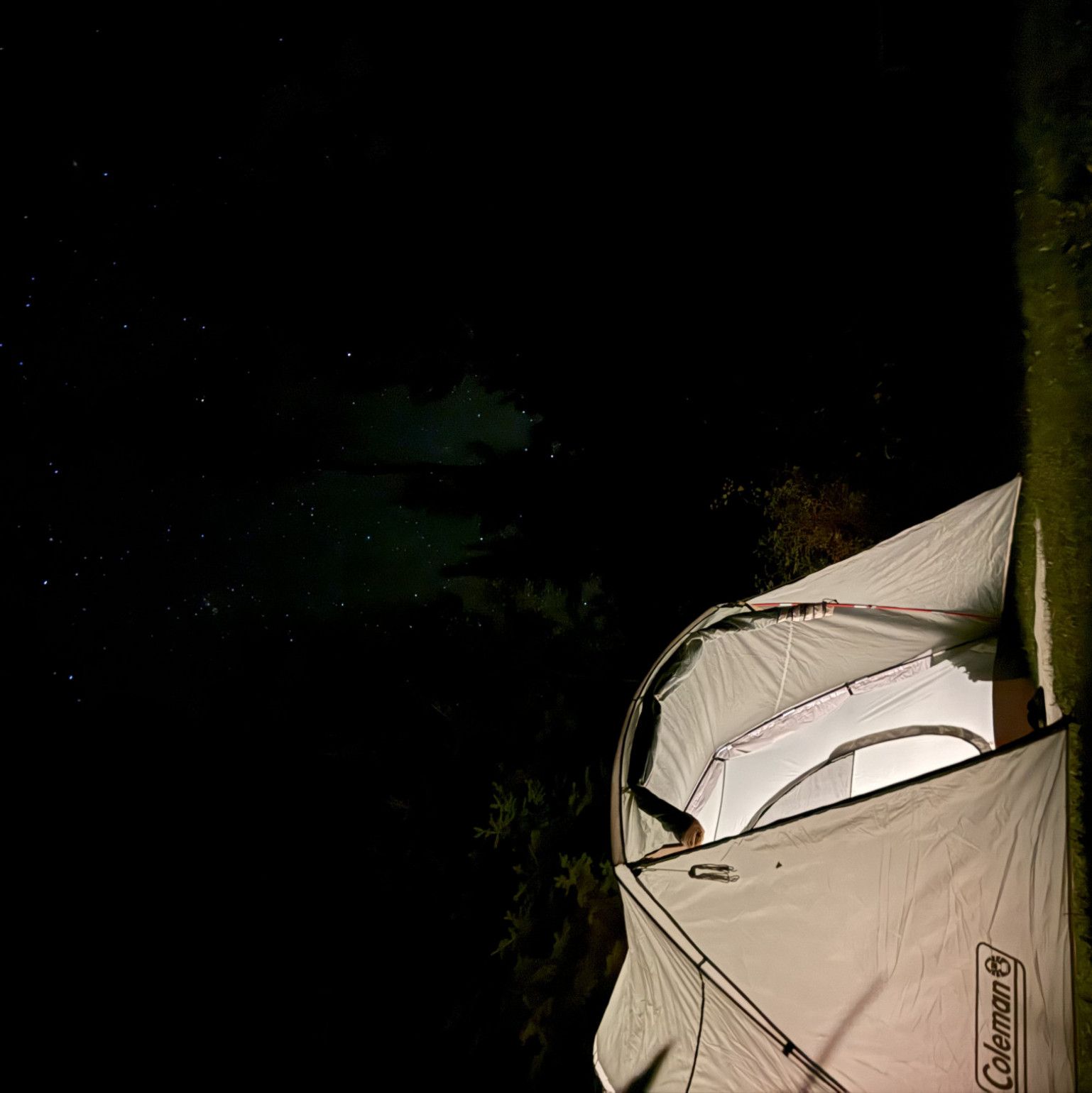 My recent nature photography