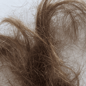 My hair from the barbershop floor