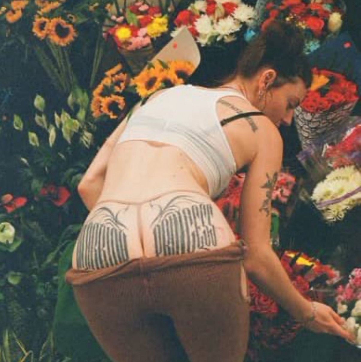 Panties