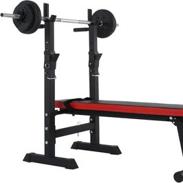 Weight Bench with Dip Station