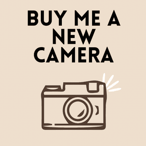 Sony ZV E10