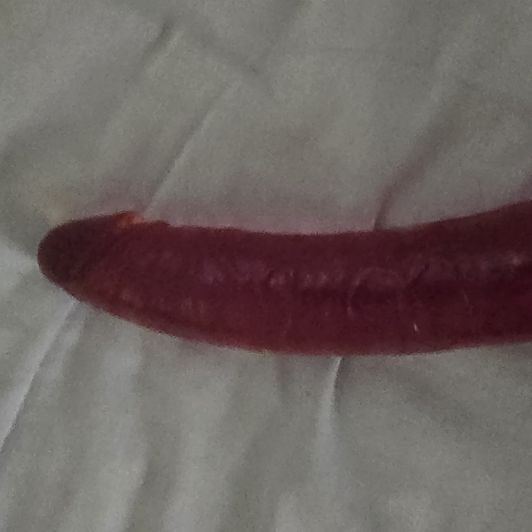 Used Dildo