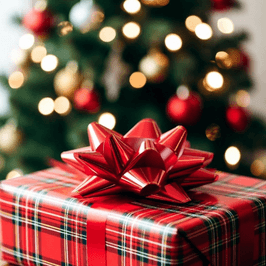 Surprise me this CHRISTMAS