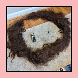 Hair from 2025 Head Shave