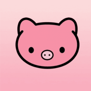 Paypig slave application