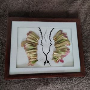 Maple Seed Moth Art
