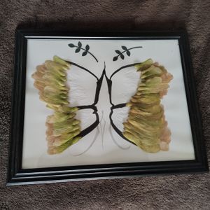 Maple Seed Moth Art