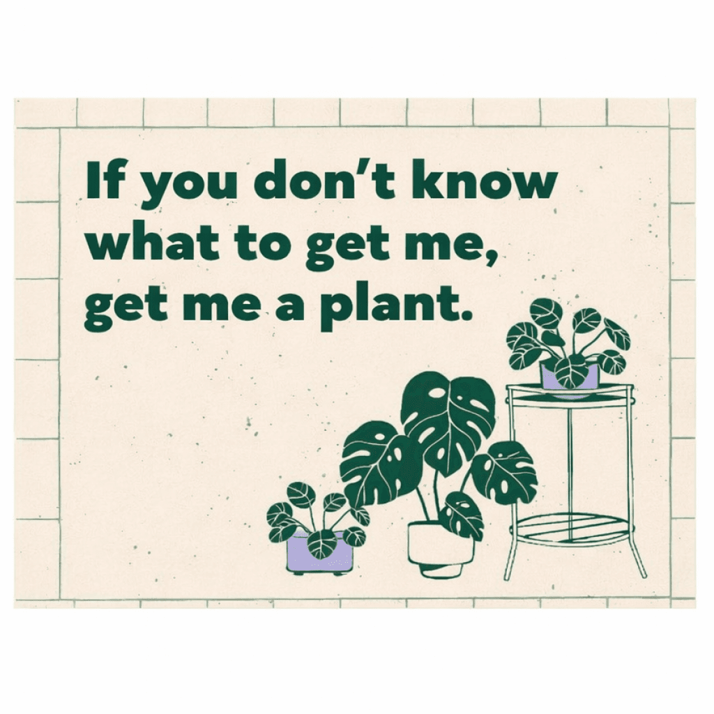 Buy plant for me