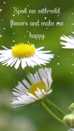 Spoil me with wild flowers