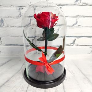 Red rose in a flask