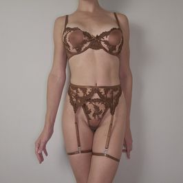 Lingerie Set Plus 2 Vids
