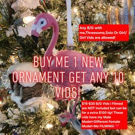 Buy Me Ornament Get 10 Vids