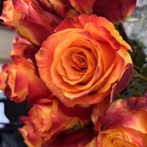 Buy me Flowers