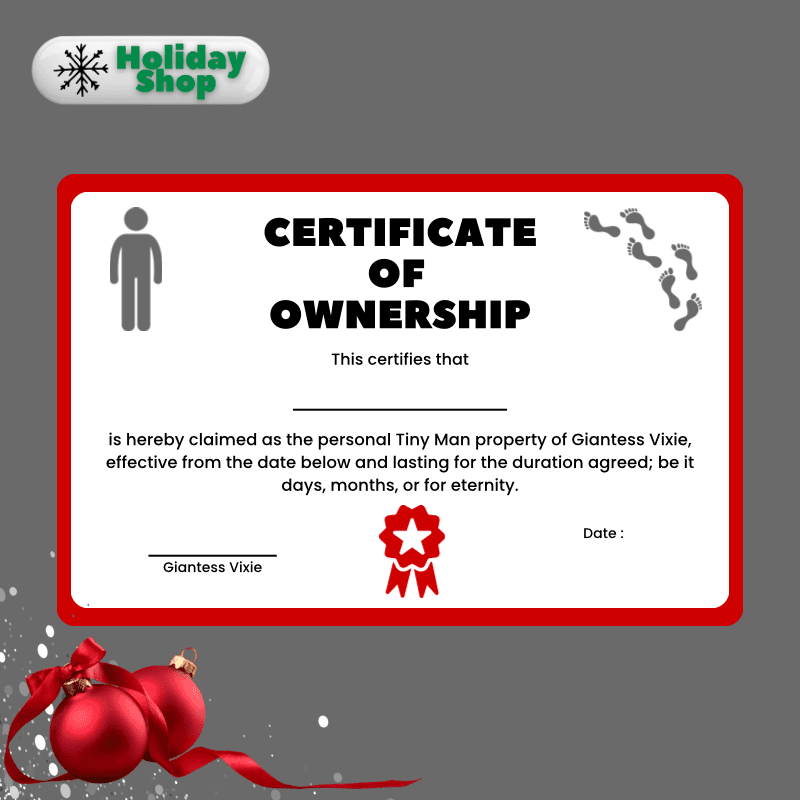Holiday Version of Tiny Certificate Of Ownership