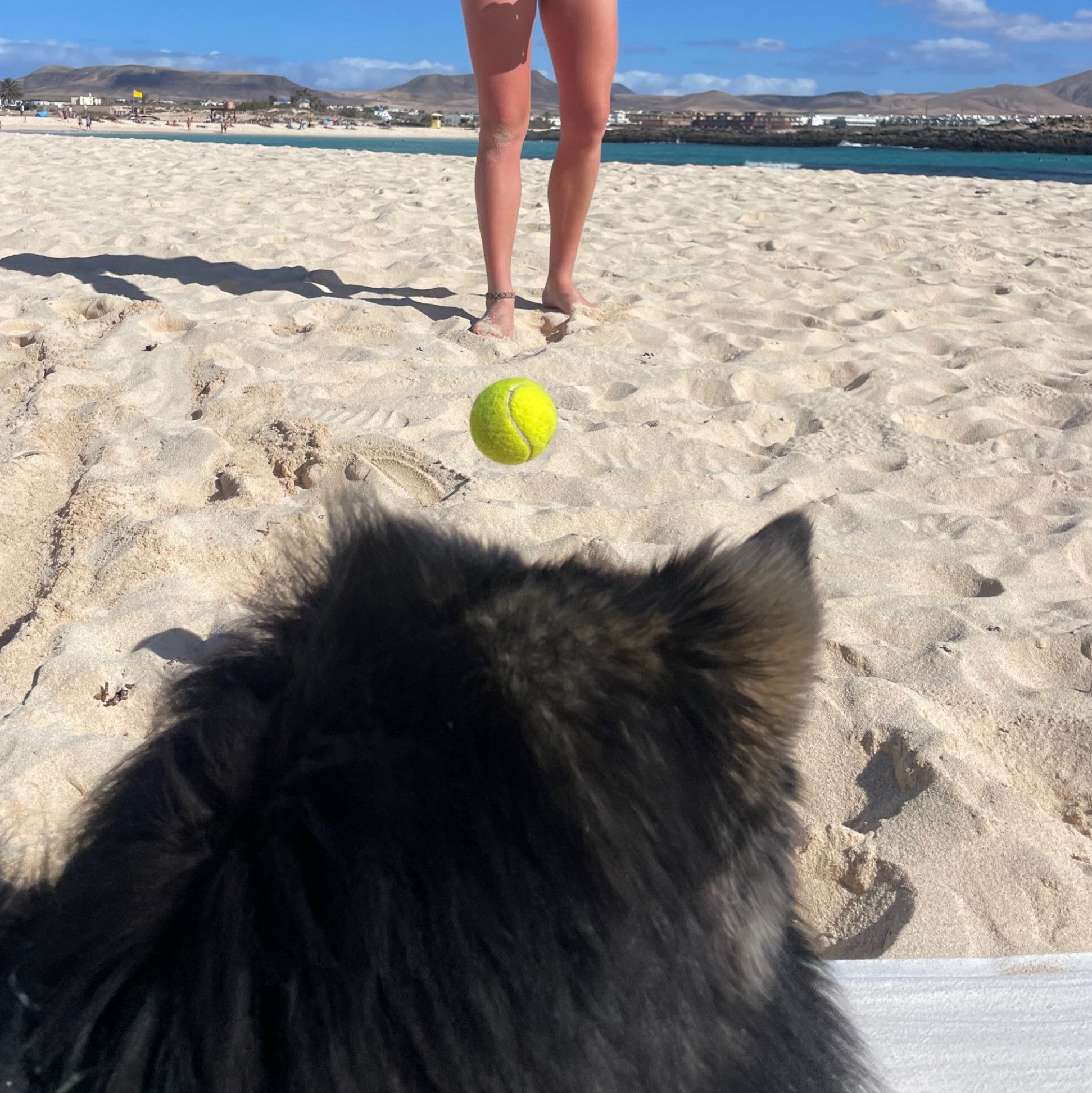 Play time on the beach of Fuerteventura
