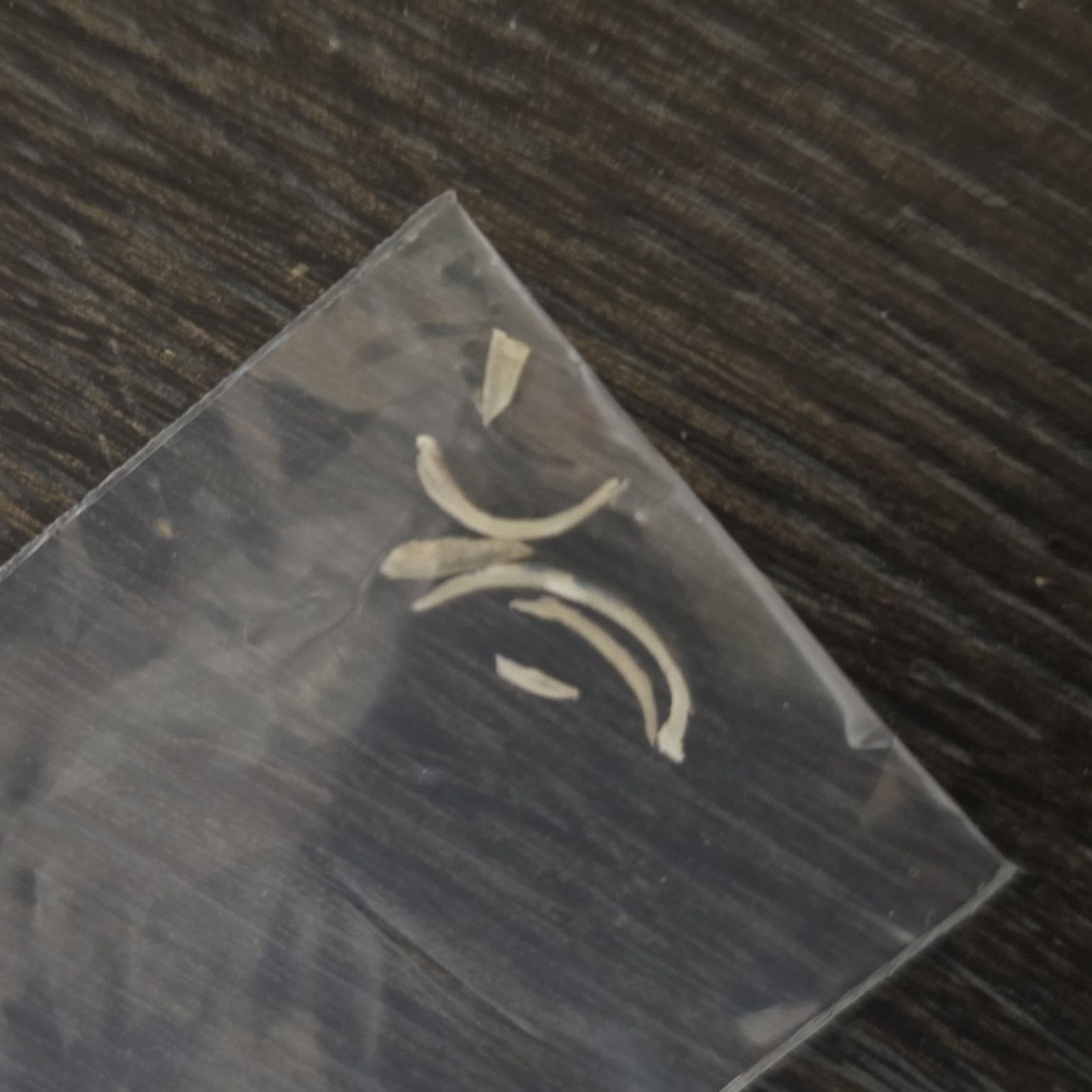 Toenail clippings