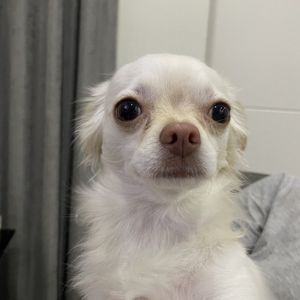 Give my tasty food