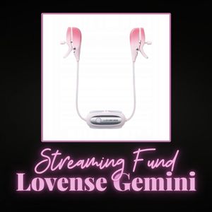 Streaming Fund Gemini