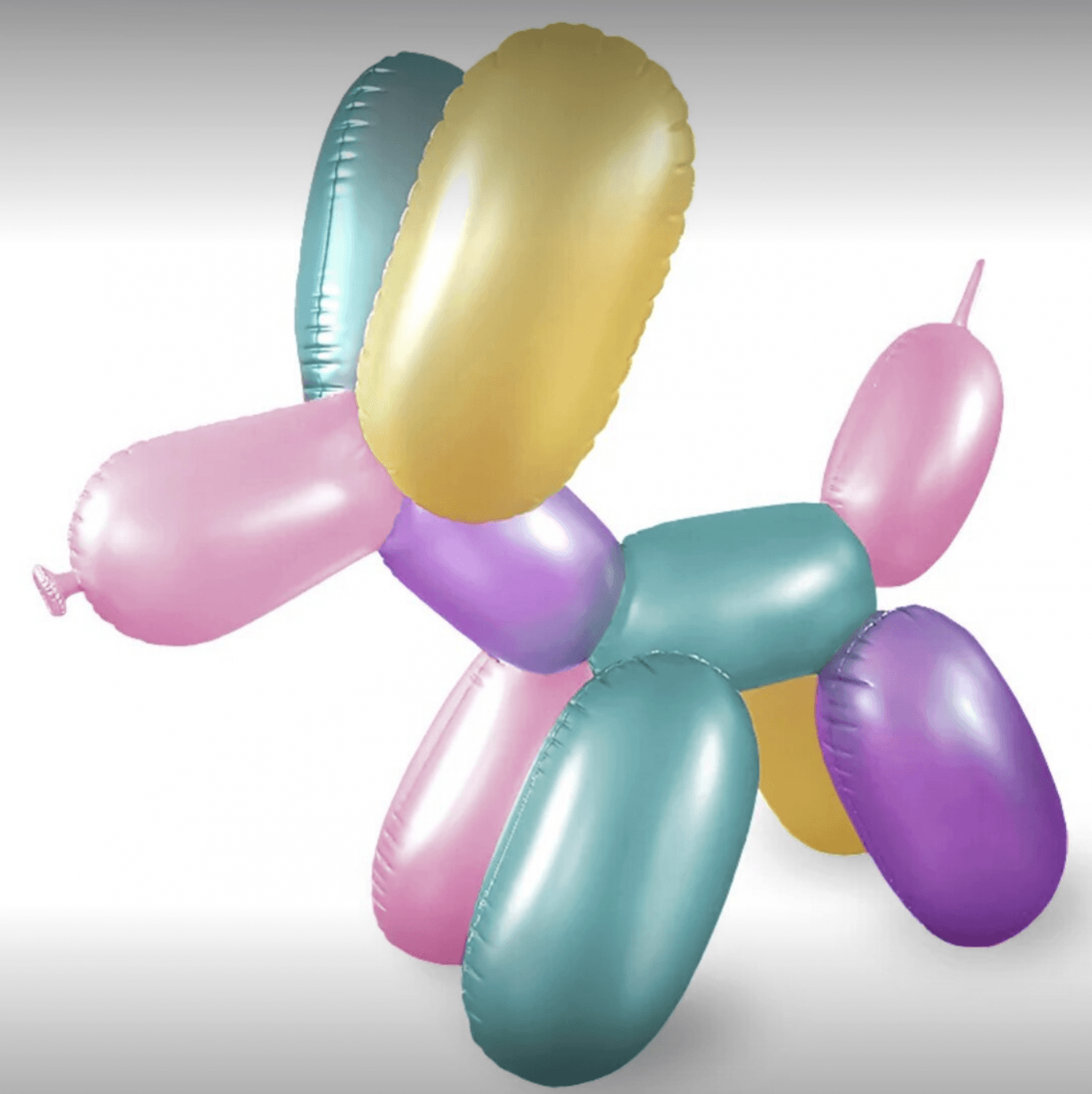 BalloonDog from Shosu Amsterdam