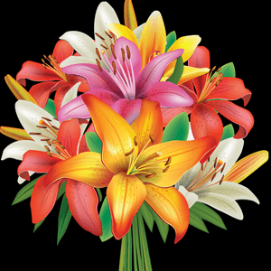 Buy me flowers!