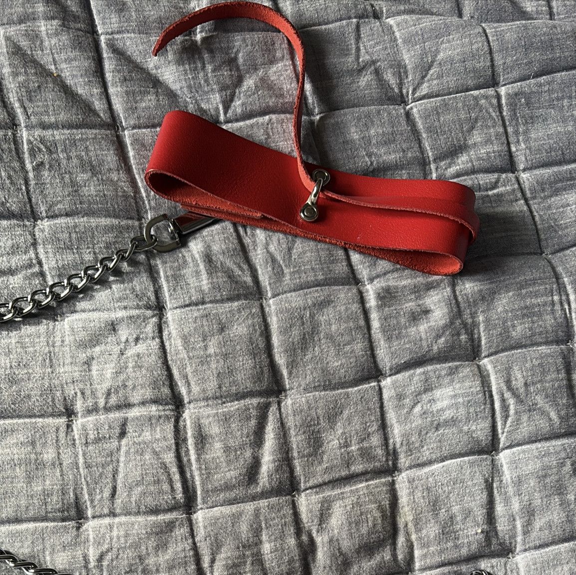 Collar and leash