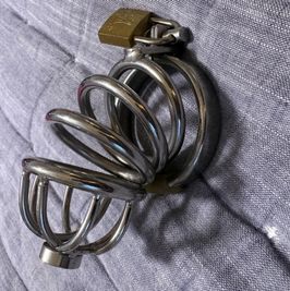 Chastity cage