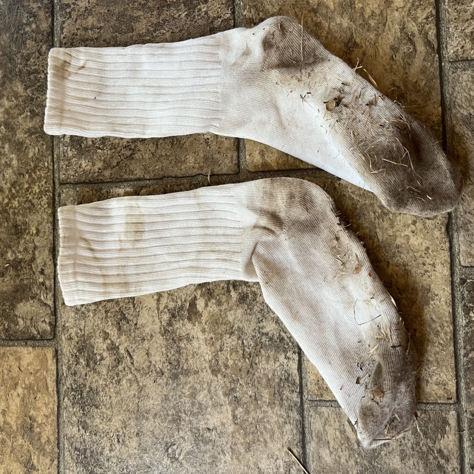 DIRTY SOCKS