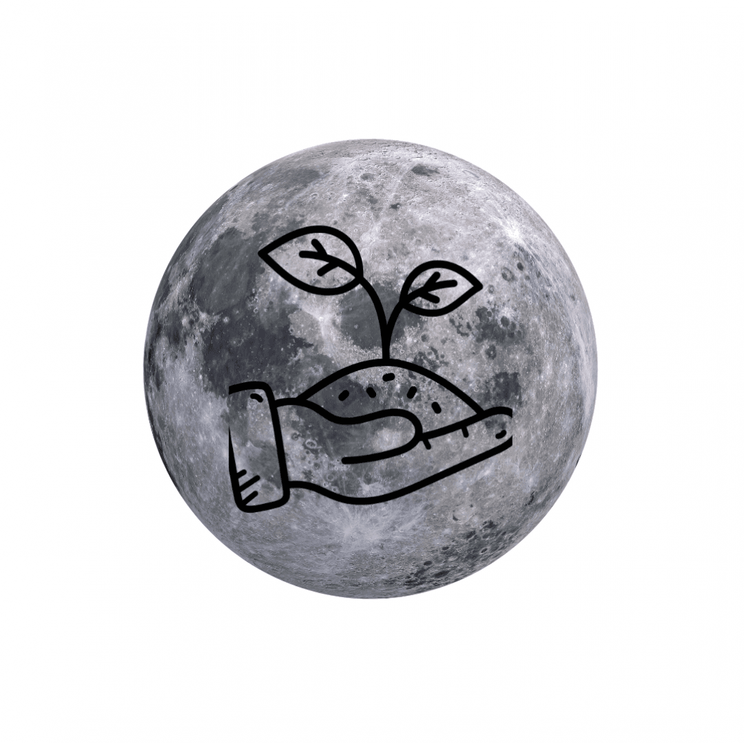 Pot