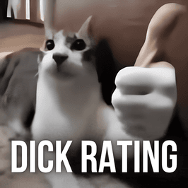 TEXT DICK RATING