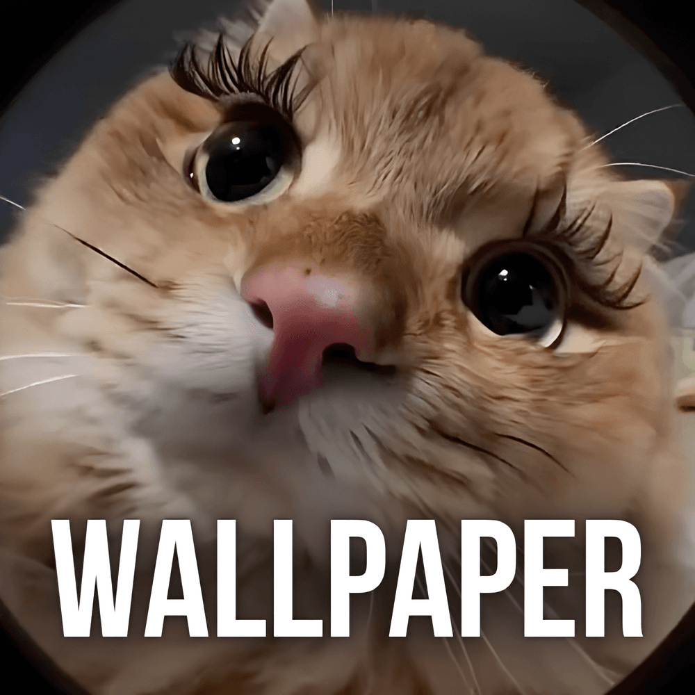 CUSTOM WALLPAPER
